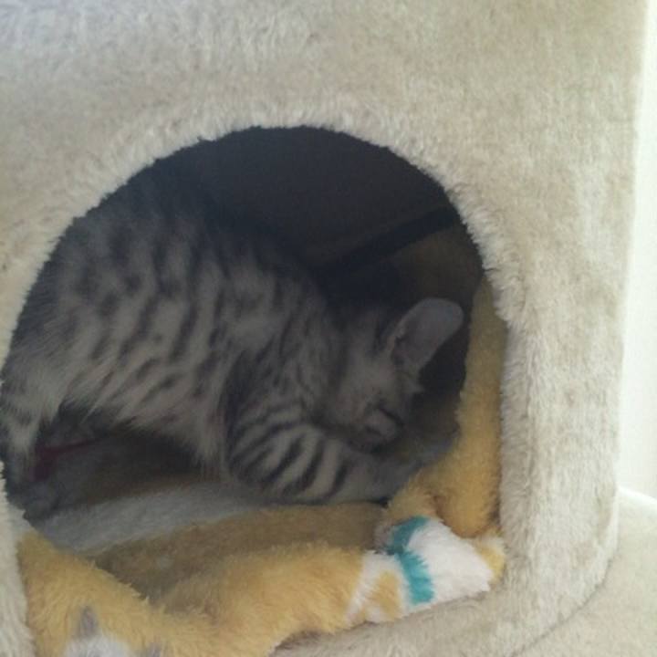 05b14322 25ea 4de7 bc8c f66a91911433