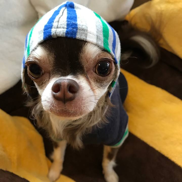 05b17a7f 9e0f 480e 8c43 4f2b3d2e61e9