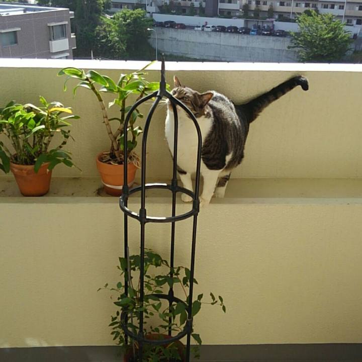 05b1a91d 34a6 435d a9de d719adf794d0