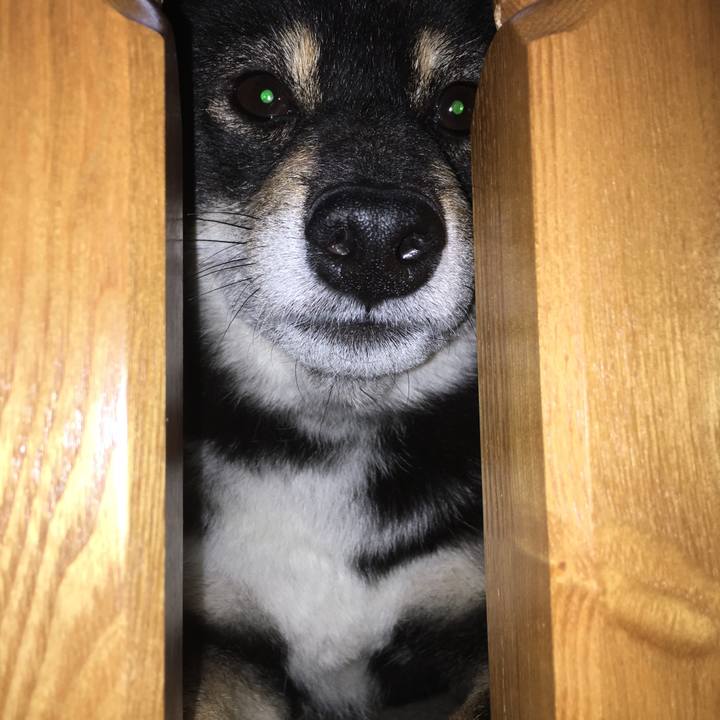 05b1acb0 d918 46fb bdcb a21f87835350