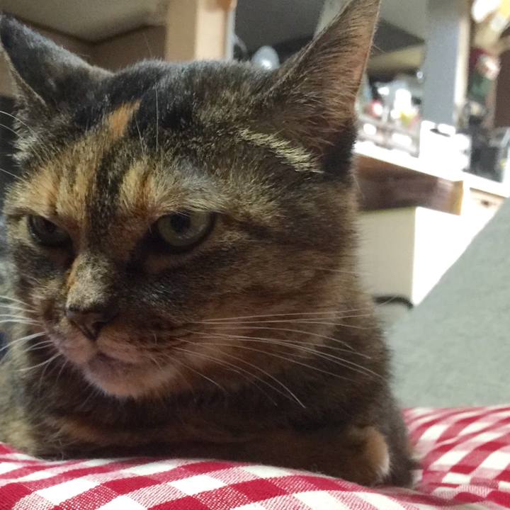 05b1d046 7cbb 49eb 8982 dffd301764d7