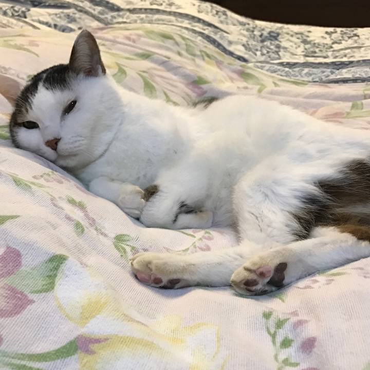 05b1f738 f89b 41f3 81be f8a07371c984