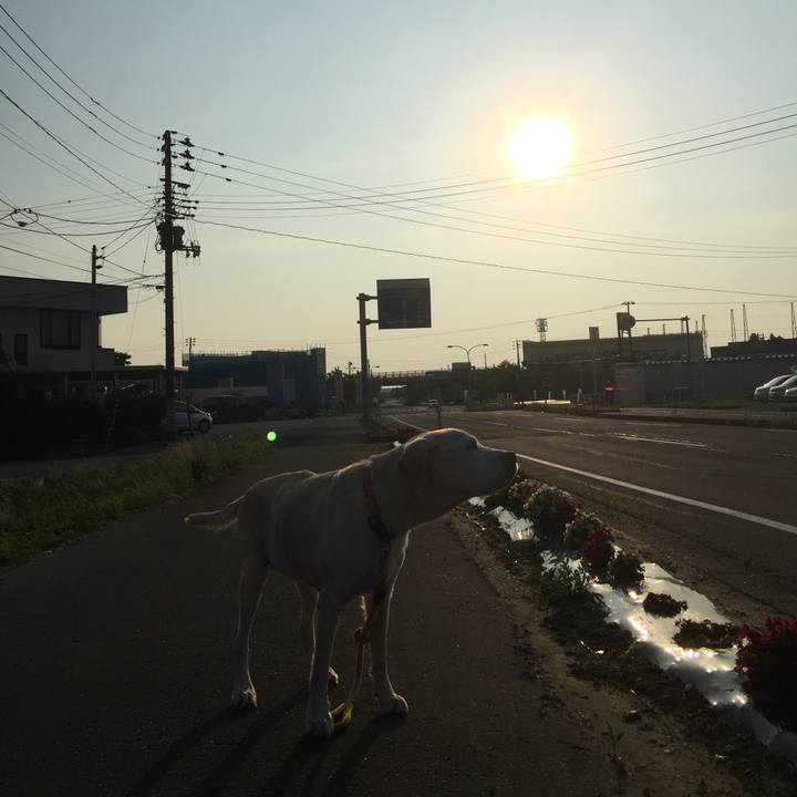 05b27d42 079b 448c b93b 0a0da09ed69f