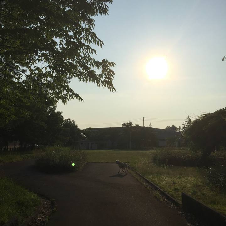 05b30f4e 8d76 4b5a 8573 d8849f12e061