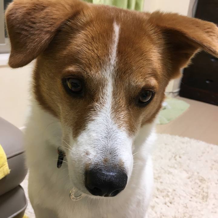 05b30ff0 c93a 4160 b50e 9cf396bd0b35