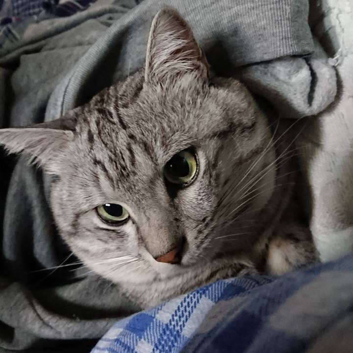 05b3f45c 076a 4ea4 8d42 f98850f77416