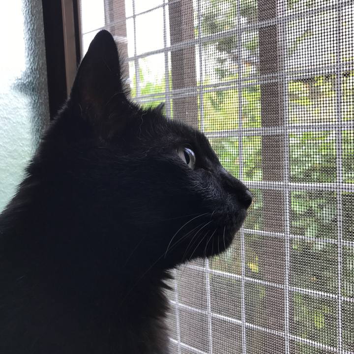 05b4d4be 0423 4e6c 8d0f abfe81241339