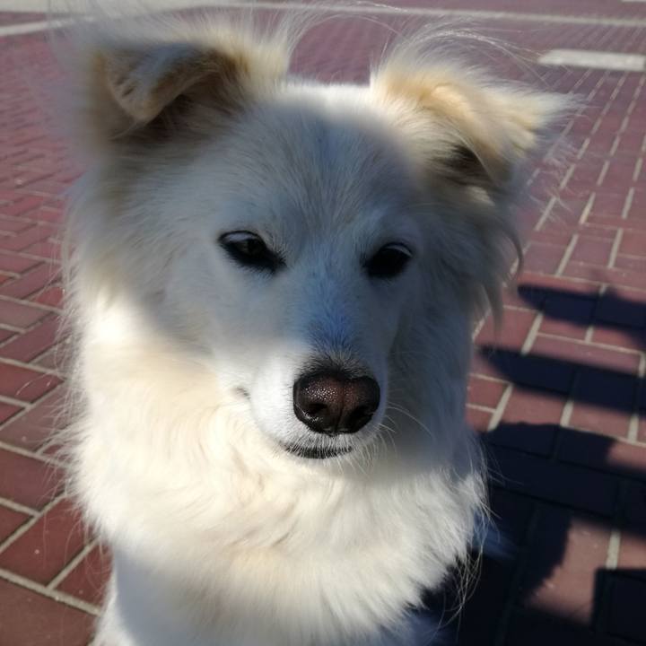 05b4e25b 208c 4daf 9bd9 363c2b31df2b