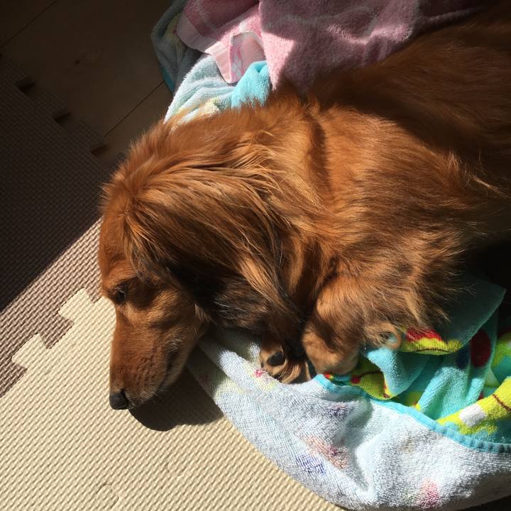 05b516fd 28af 49af b74a 7cadc3291231