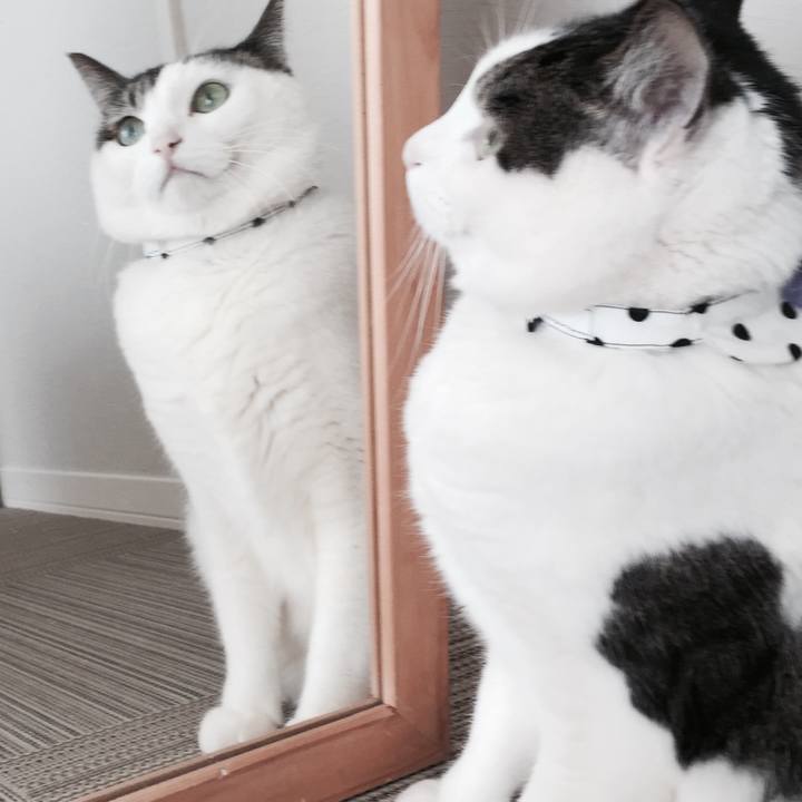 05b5467f 8248 40b9 bf63 95bfd4c6bf32