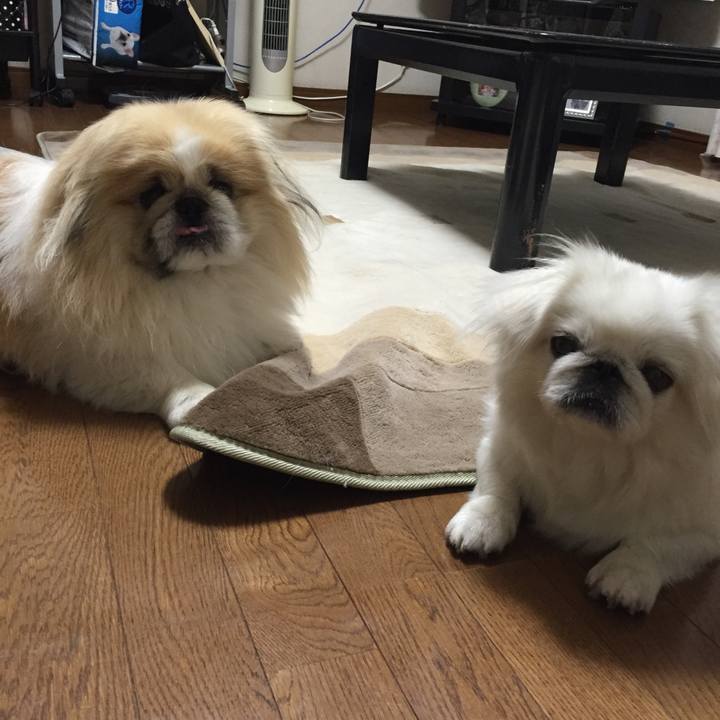 05b5d71c 1f39 4b90 851e 0322f80e3711