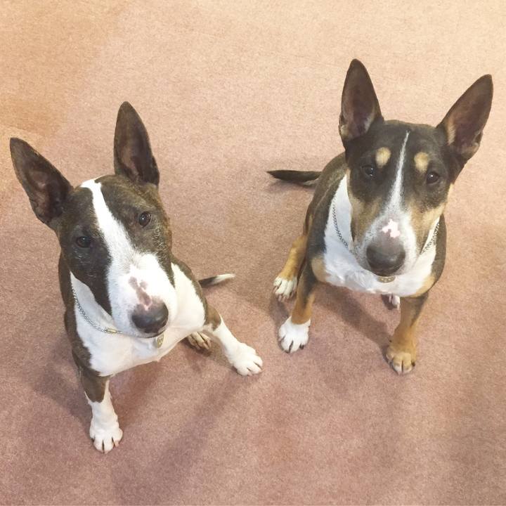 05b62dca 16b1 4a2a b5c4 029137521873