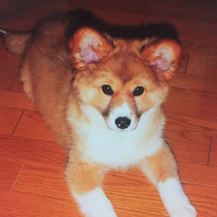 05b641aa 447f 4d02 a929 5d7c629aac86