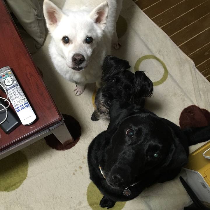 05b6618b 1839 4213 aacd 02600e493475