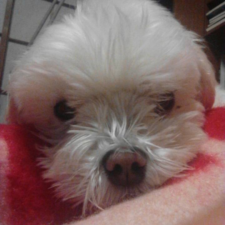 05b68588 265a 43bd b850 8e63768e1c36