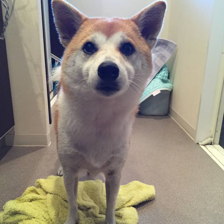 05b695e4 230c 4fd8 a2e8 9a607349fcde