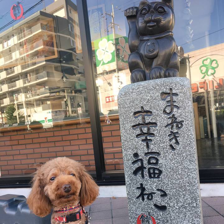 05b7edf1 10f6 4ab8 b133 46c6f3e9d371