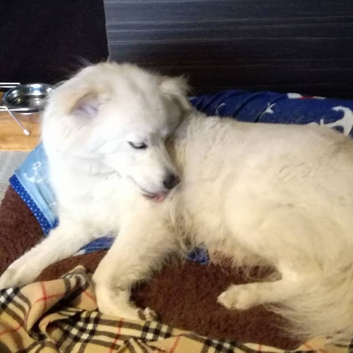 05b81dbd 524a 4963 9f9c 5a38d8ad3bc8