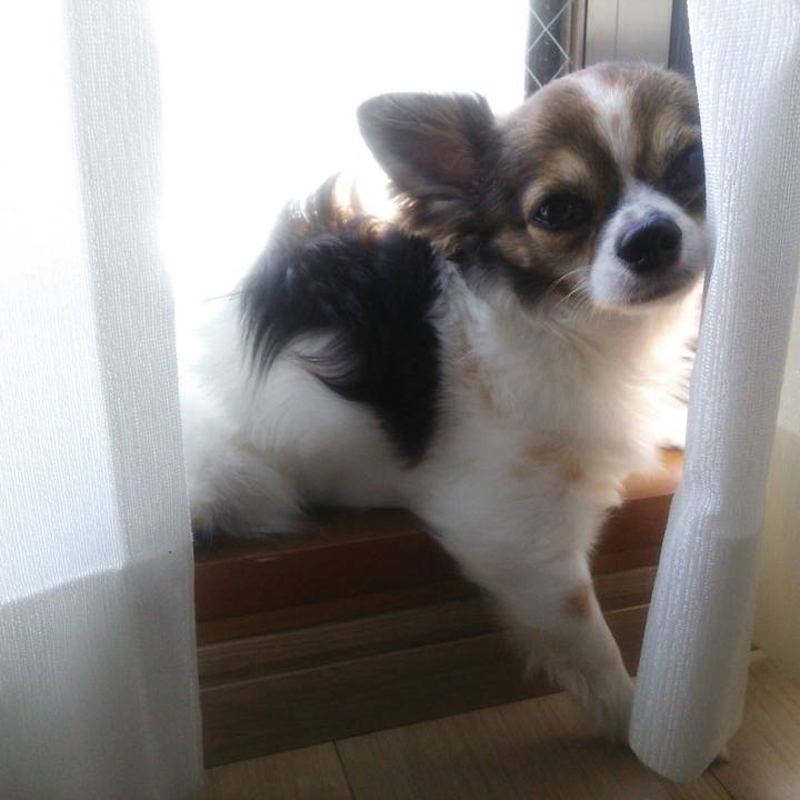 05b86639 9bb4 482a 9e76 f378fd25b79d