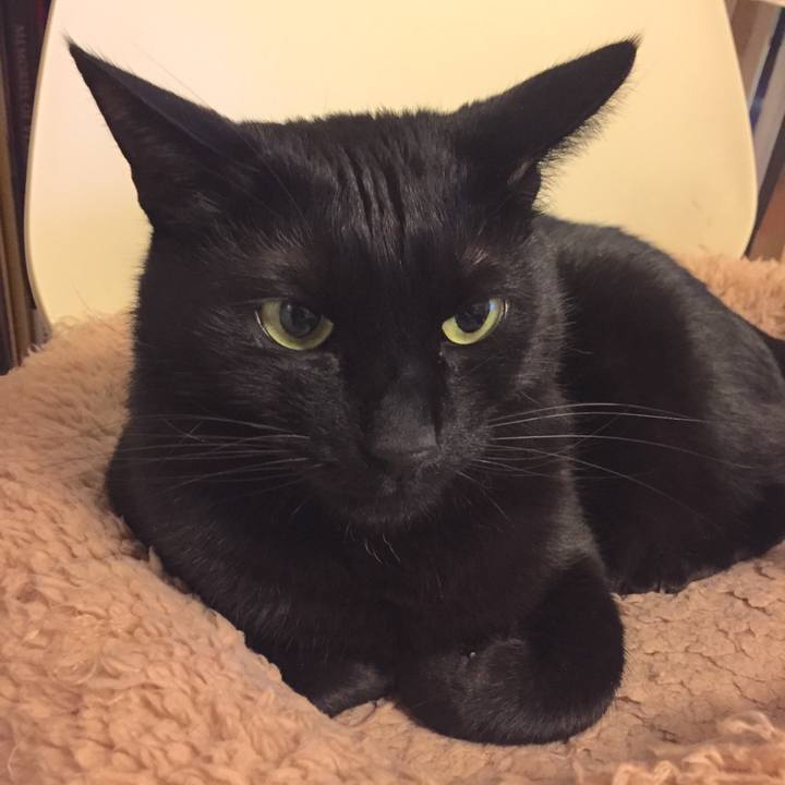 05b8a543 fd56 43e8 b259 08f8c330be88