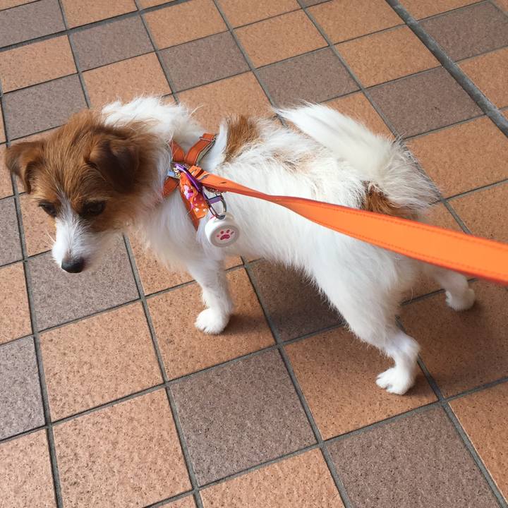 05b9b6f9 9712 4f02 8590 fc1115911da1