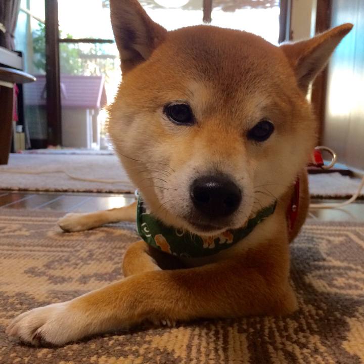 05b9c6b7 08dd 463d 820b 8c57eae72b9a