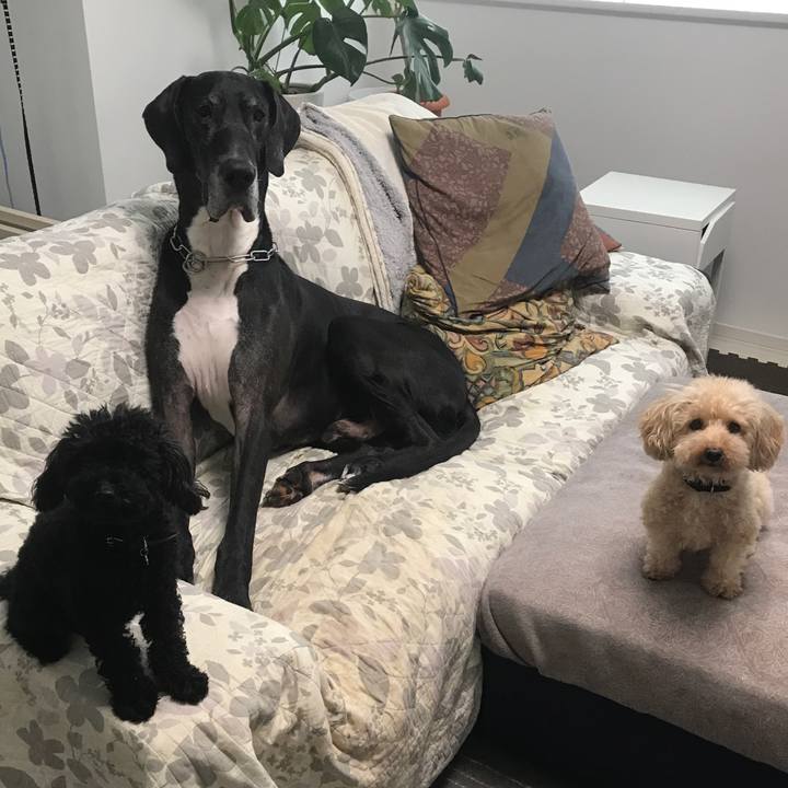 05ba1693 e251 4e3f 8b59 b7b73d0e81a5