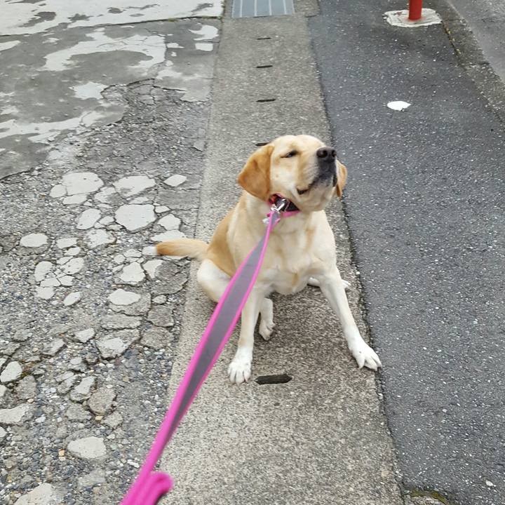 05bb0ffc b85e 4a08 a1b0 53527627445f