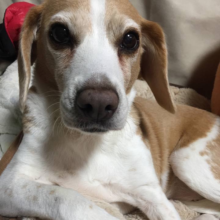 05bb4e13 c99b 4ea0 84b7 2a049984dd41