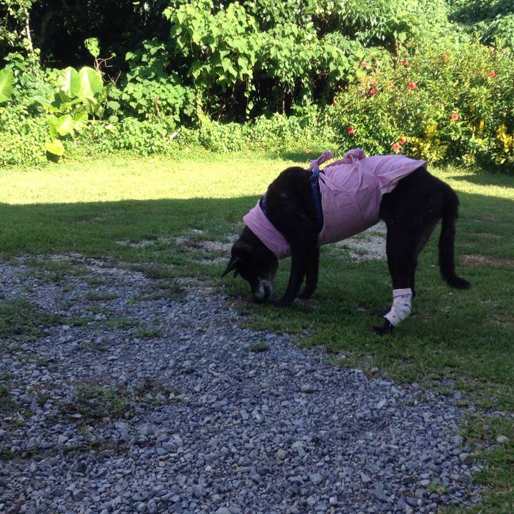 05bb7422 29fc 499a 8afc a807f3b9d214