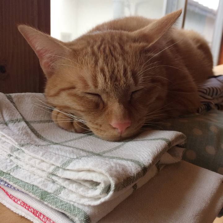 05bba80f 3cb1 4ddd af77 bd864afe2ea4