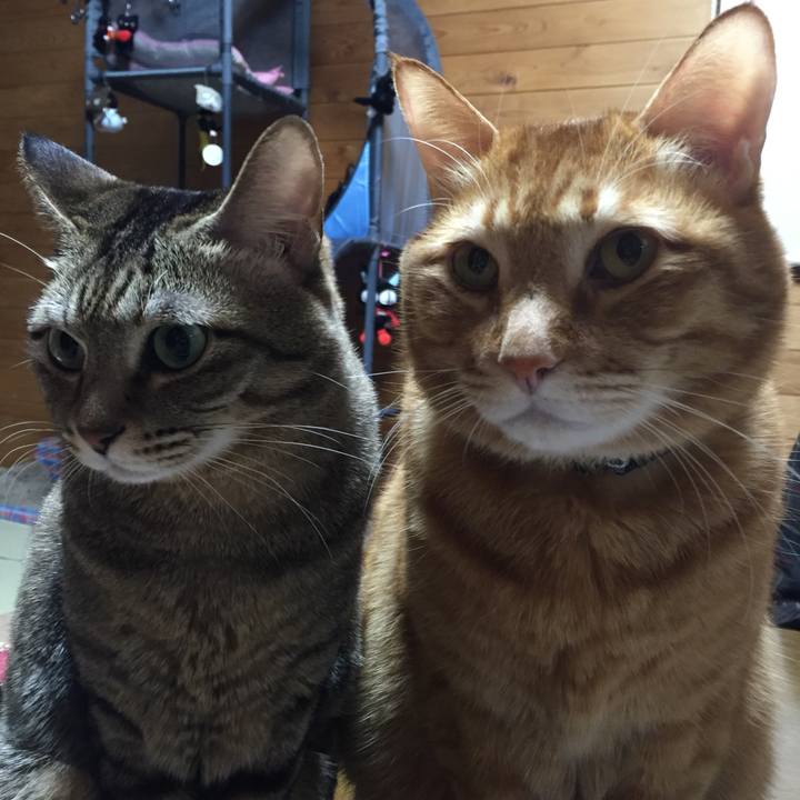 05bbbd78 c07b 4acc 8963 79fdff923818