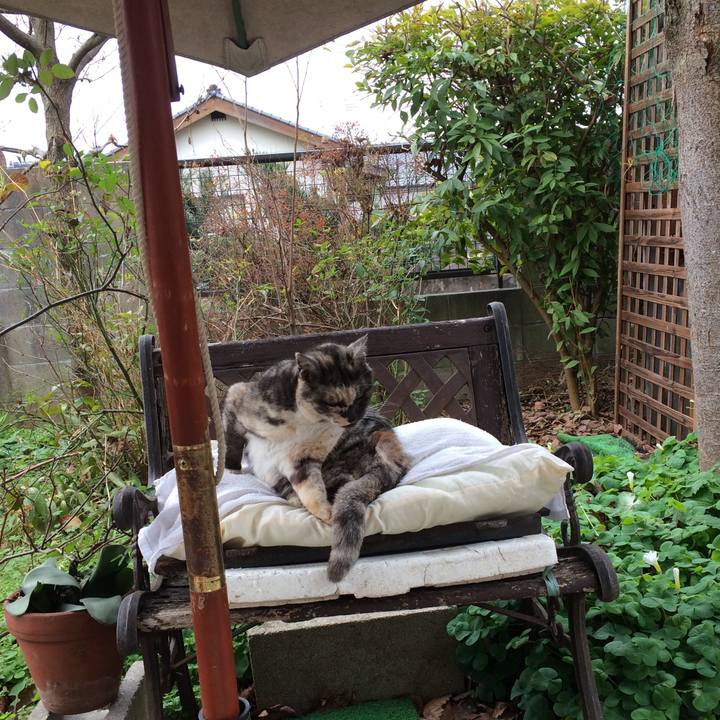 05bc4177 1587 4708 a830 a3a8a48306e3