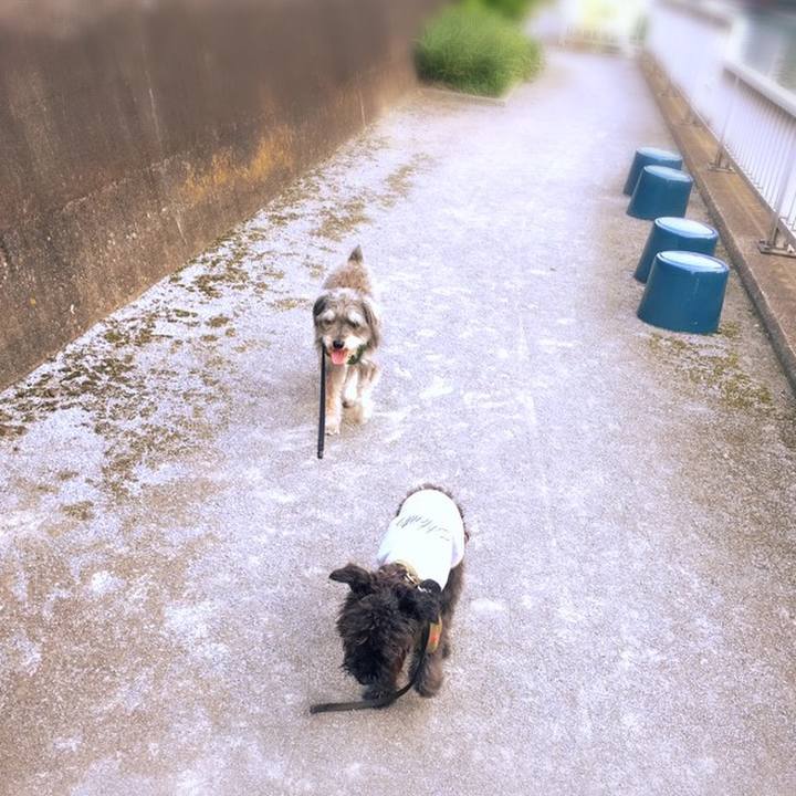 05bc4796 7d31 4ad2 877a 588a4b87d8e5