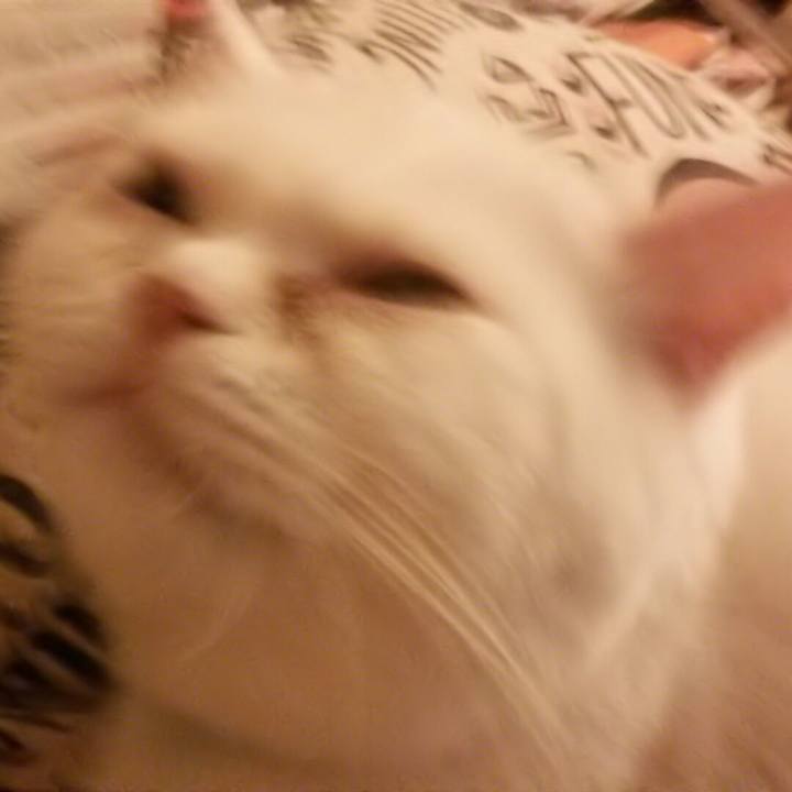 05bc5b59 8c1a 47e3 b27b ccadd72b4af3