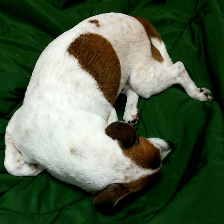 05bccd63 8bf7 4918 8a46 6137b7e60b18