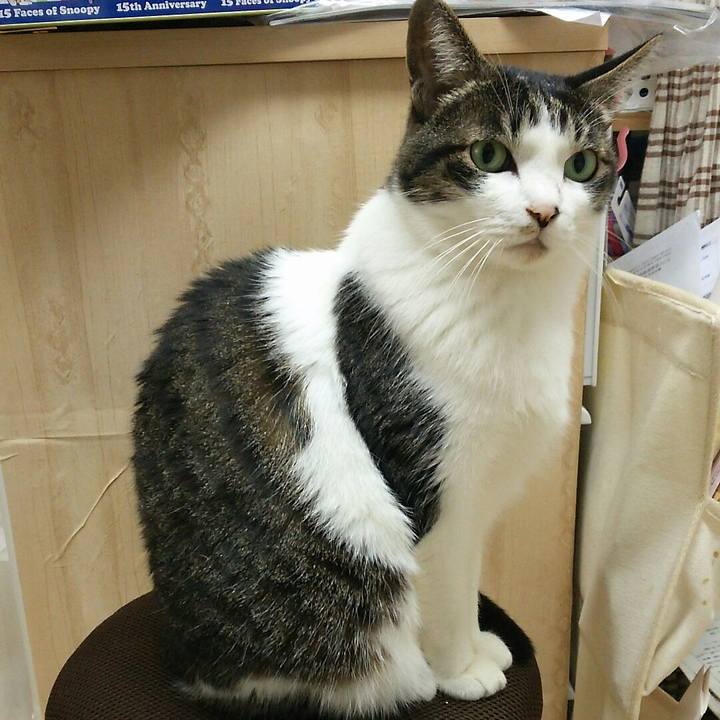 05bcd1cf 40e4 41b2 aabc 04d19e46d0c5