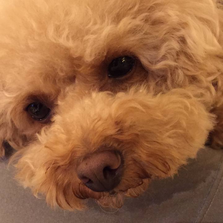 05bd81d1 e520 43d5 8ebf cb858d581002