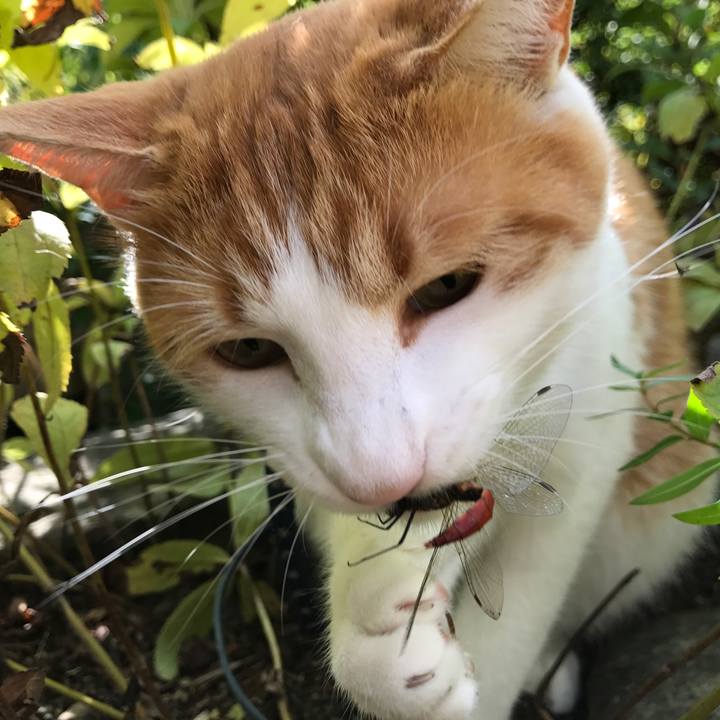 05bd875a b56e 4298 8f1b b9567a6d103b