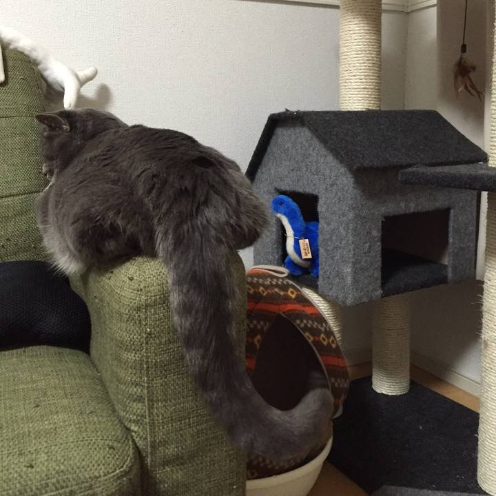 05be57f3 f2d3 42f1 9bdc 9b909aae2e5c