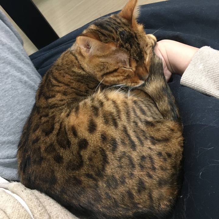 05bee632 8117 448a 9a02 846c65aa95ae