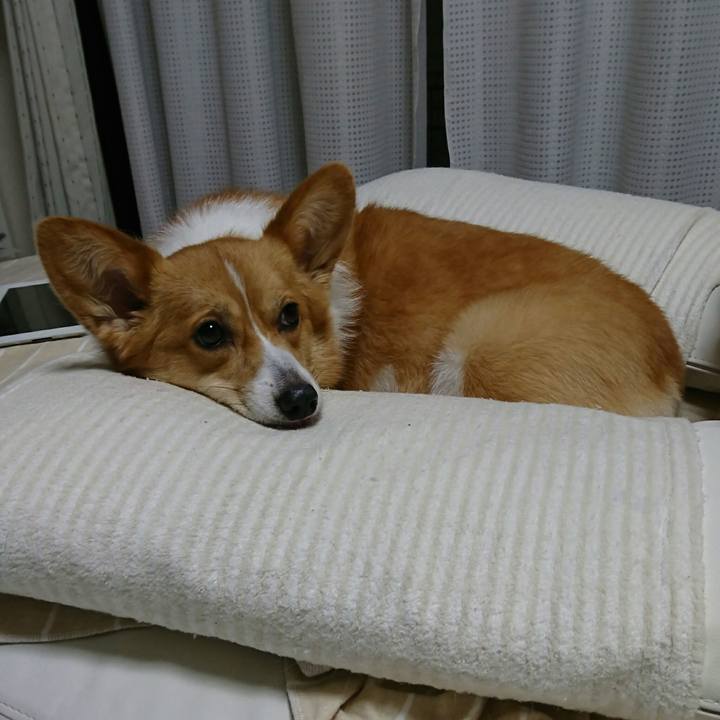 05beef6e 1911 448b 960a 9539109d4bf7