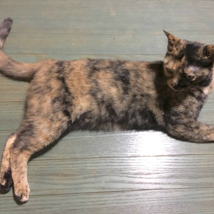 05bef246 ed53 4729 a85b 4047e462dcaa