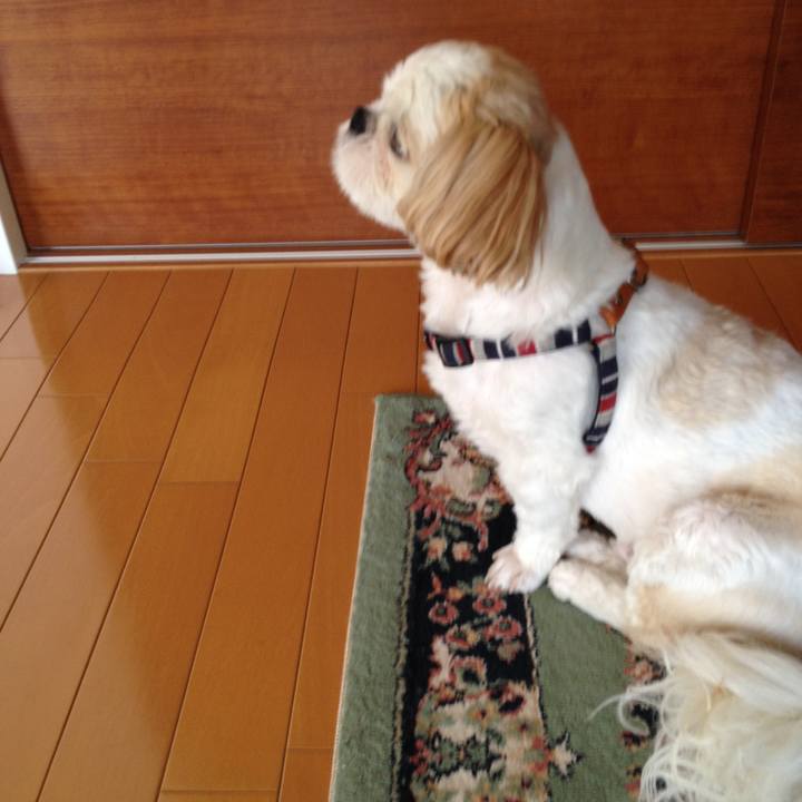 05beffec c69e 483b 995d 2fe26e8e4ef6