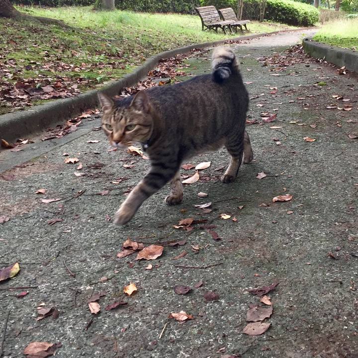 05bf036e 6c0c 4fa4 bede cf57ddedd221