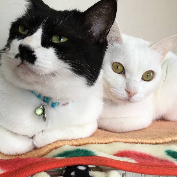 05bf2939 6ecc 451e 8e63 ac63a5927149