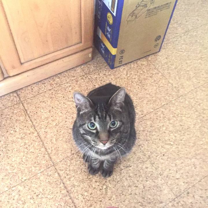 05bf5909 9265 4a34 ba66 bc4bda58e1f4