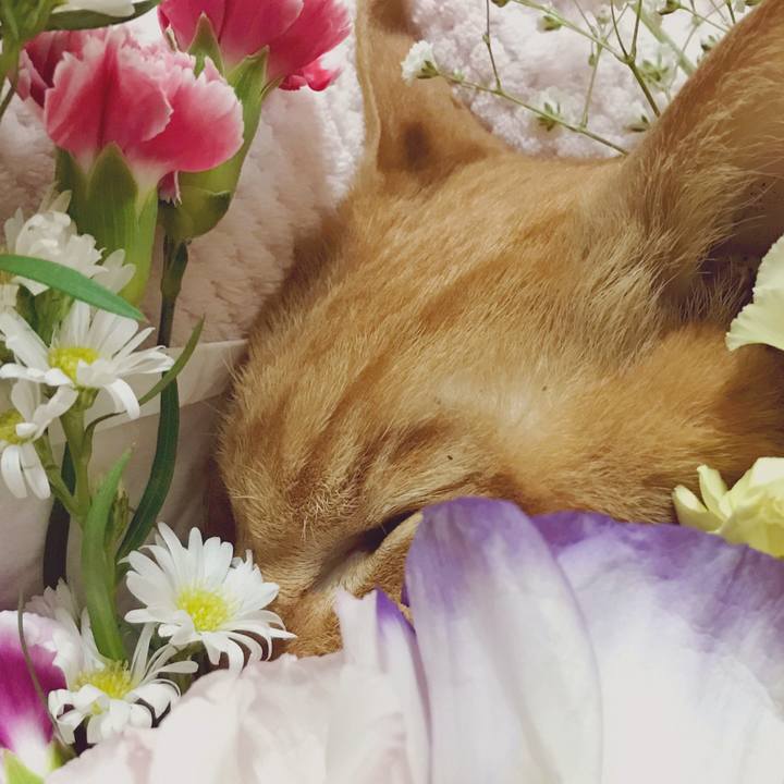 05bf66ea d240 4714 ac1a 29513baf2047