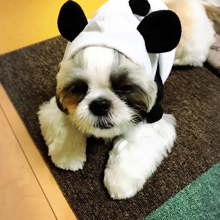 05bfbc2d d1bf 4fa6 84c5 973ba16f68a1