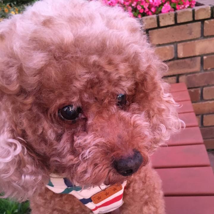 05c0b616 5038 4090 8188 d5ce86727556